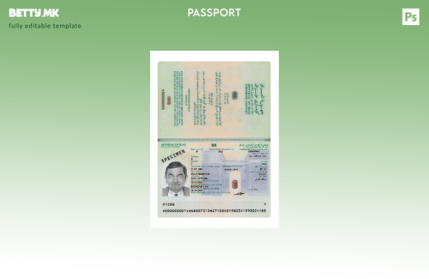 Модерен стилски шаблон за сегашен ирачки пасош 1